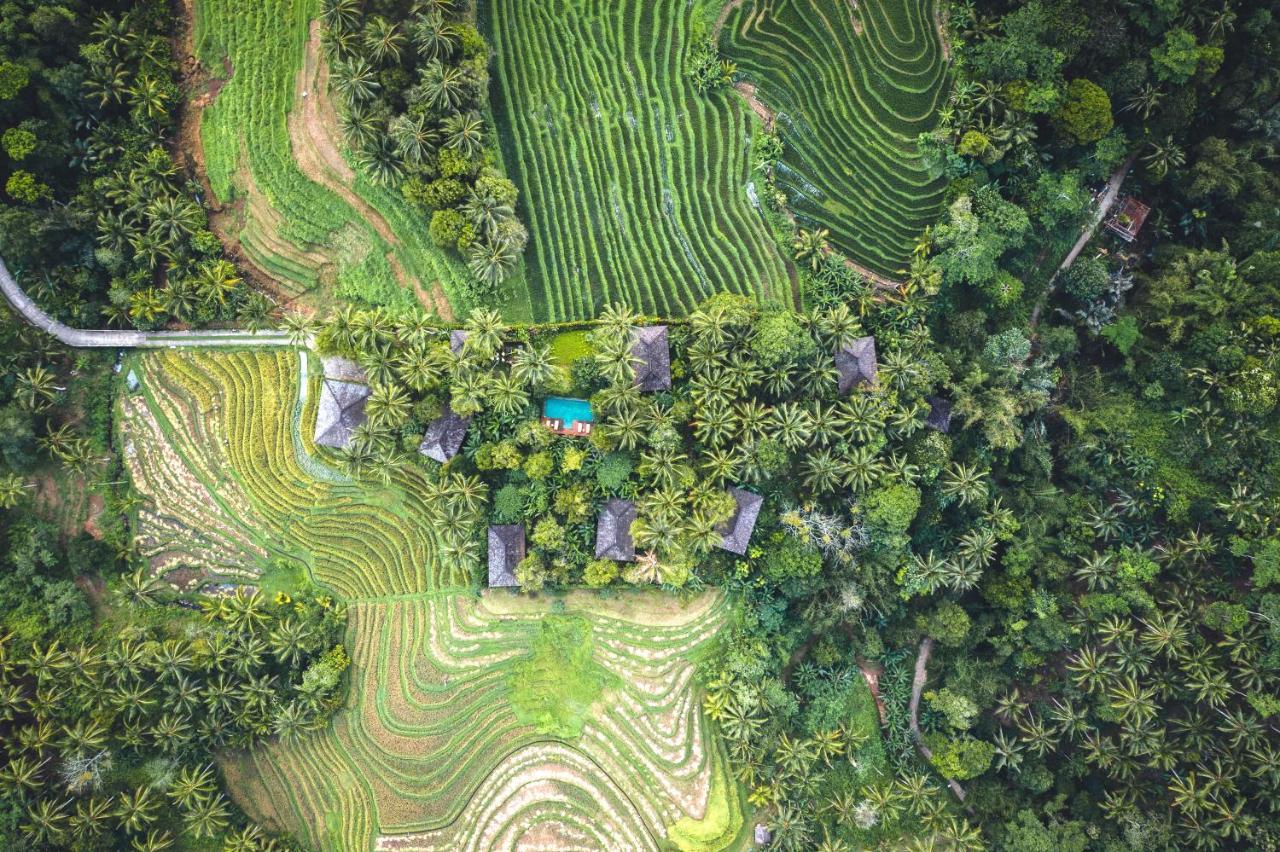 โคลฟ ทรี ฮิลล์ Hotel Blimbing  ภายนอก รูปภาพ