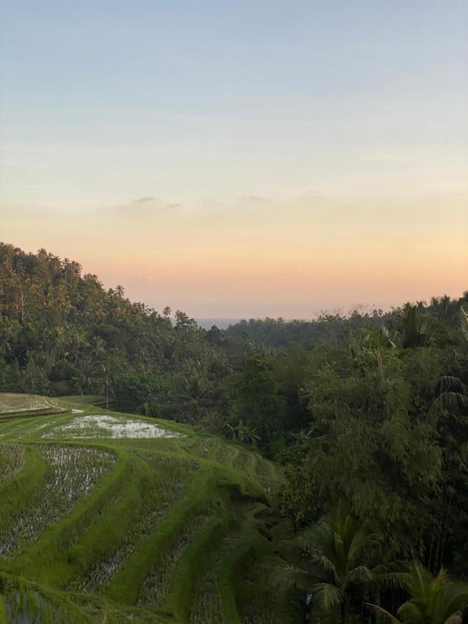 โคลฟ ทรี ฮิลล์ Hotel Blimbing  ภายนอก รูปภาพ