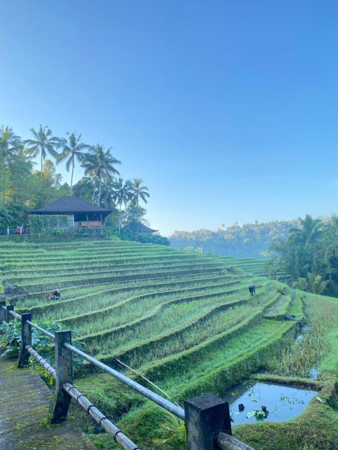 โคลฟ ทรี ฮิลล์ Hotel Blimbing  ภายนอก รูปภาพ