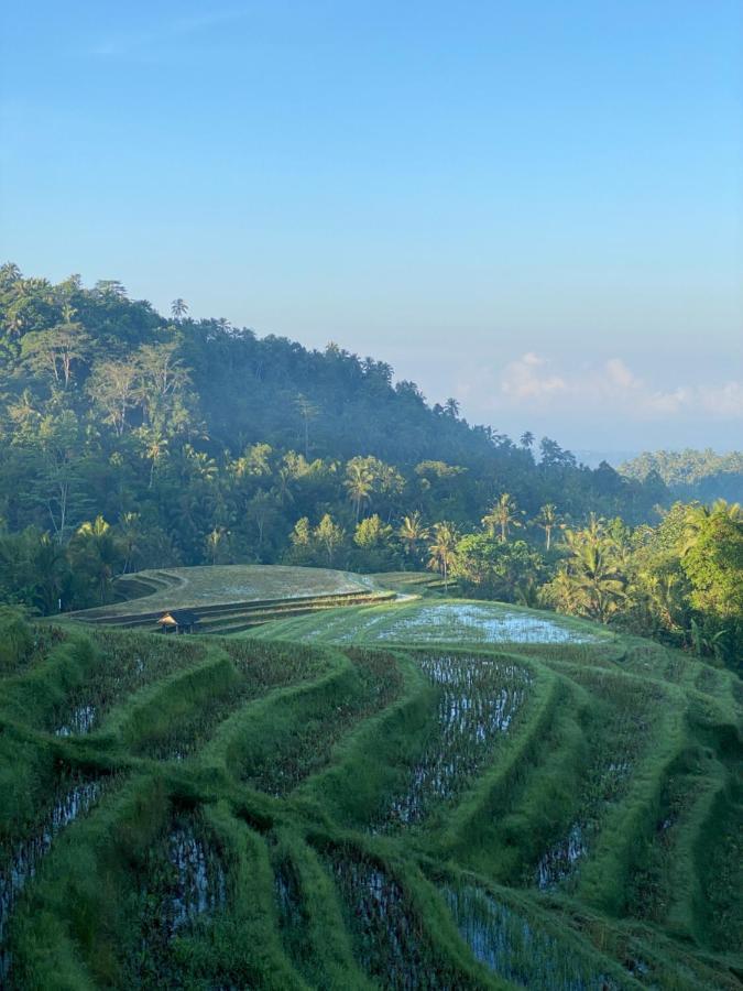 โคลฟ ทรี ฮิลล์ Hotel Blimbing  ภายนอก รูปภาพ