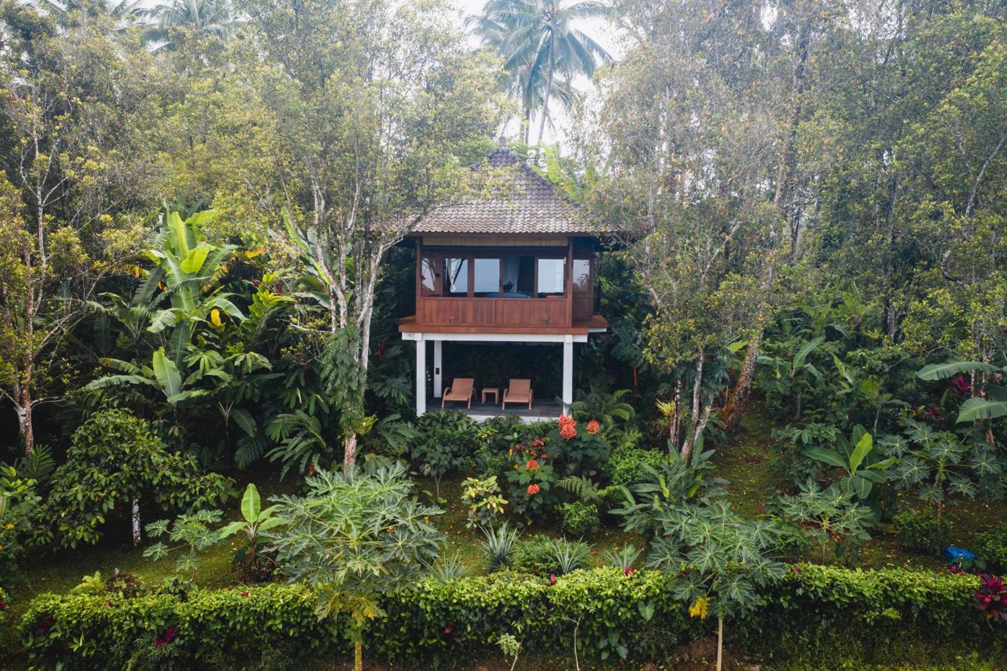 โคลฟ ทรี ฮิลล์ Hotel Blimbing  ห้อง รูปภาพ