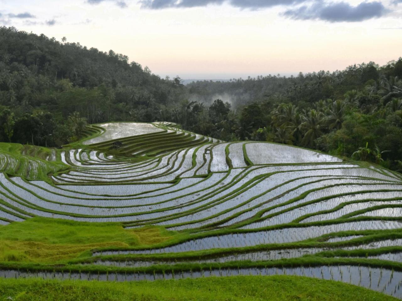 โคลฟ ทรี ฮิลล์ Hotel Blimbing  ภายนอก รูปภาพ