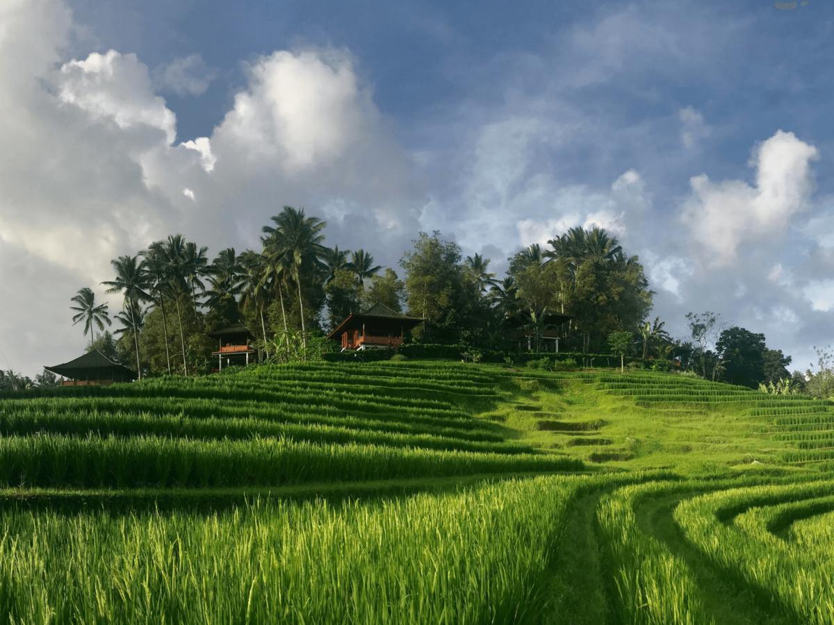 โคลฟ ทรี ฮิลล์ Hotel Blimbing  ภายนอก รูปภาพ